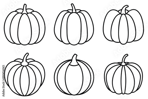 Pumpkin Pulp Line Art Seasonal Harvest