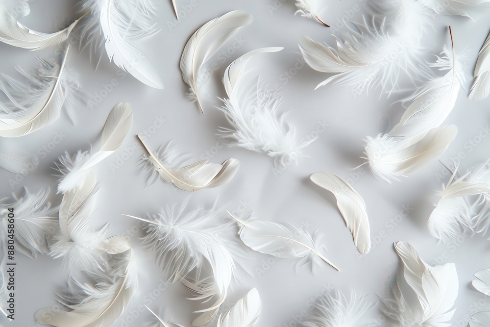 Fototapeta premium Ethereal white feathers scattered on a light gray background, soft and dreamy