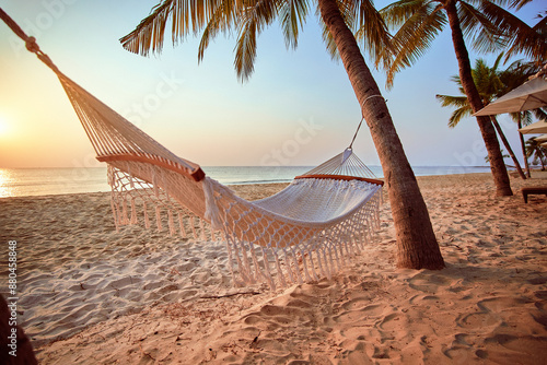 Fototapeta Naklejka Na Ścianę i Meble -  Idyllic wallpaper of a hammock on a tropical island among palm trees at sunset