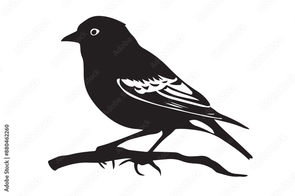 bird on a branch with berries bird on a branch with berries