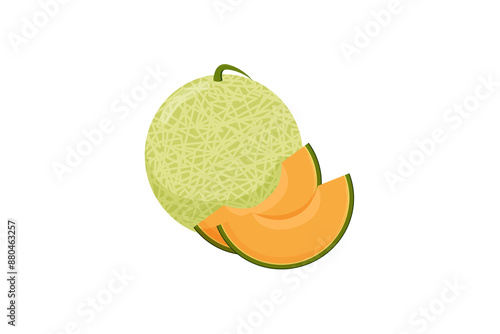 Flat vector Cantaloupe JPG
