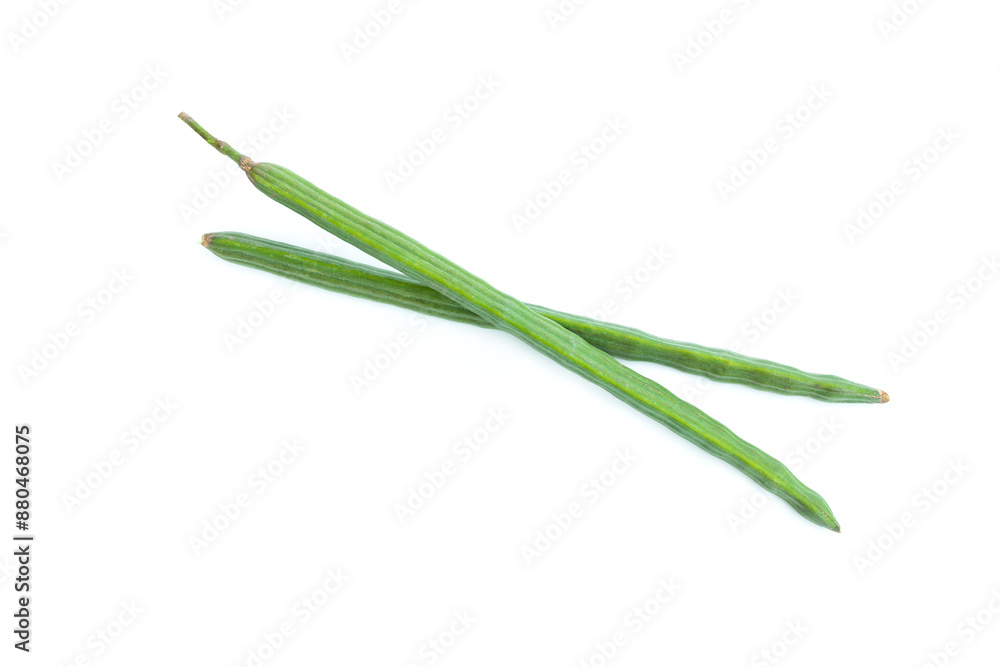 Moringa pods (Moringa oleifera Lam) isolated on white background, Organic vegetable, Herbal plant, Food ingredient Moringa pods (Moringa oleifera Lam) isolated on white background, Organic vegetable, Herbal plant, Food ingredient