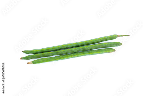 Moringa pods (Moringa oleifera Lam) isolated on white background, Organic vegetable, Herbal plant, Food ingredient