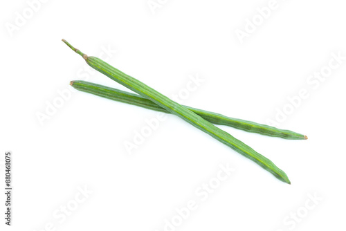 Moringa pods (Moringa oleifera Lam) isolated on white background, Organic vegetable, Herbal plant, Food ingredient