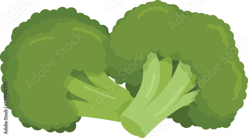 Flat vector Broccoli EPS