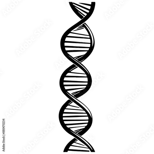 dna sketch, realistic line monochrome drawing, vintage engraving line art