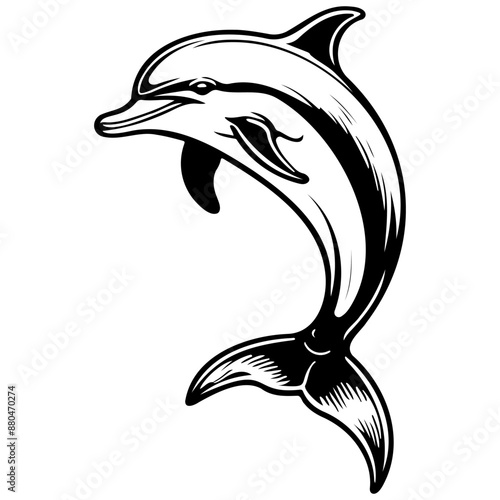 dolphin monochrome hand drawn line illustration, transparent background