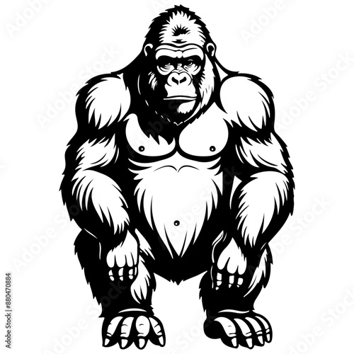 gorilla hand drawn line illustration, transparent background