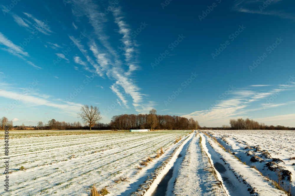 Obraz premium Rural field and road with snow on a winter sunny day