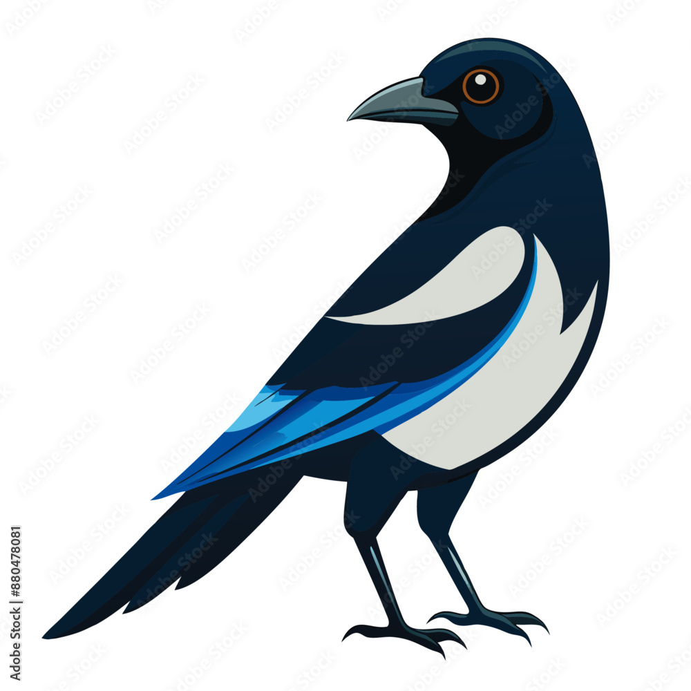 Obraz premium Magpie Bird Color Vector for various uses