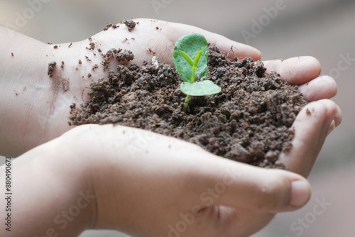 boy holding a small plant with growing a leaf from a seed sprout from soil 
which keep potential  changes in environment environmental day