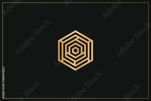 Hexagon Digital Multimedia Brand Logo