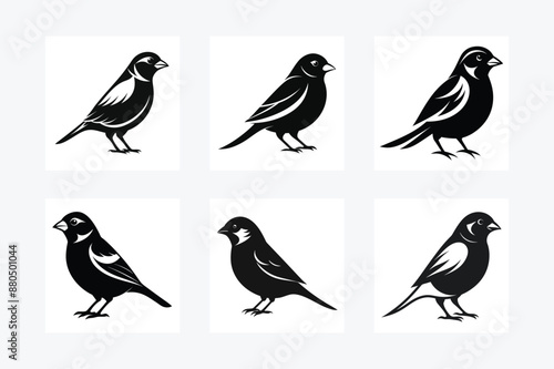 Wallpaper Mural Set of illustration bird icon silhouette vector art white background
 Torontodigital.ca