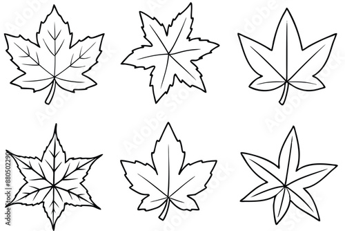 Sweetgum Leaf line art perfect for nature lovers