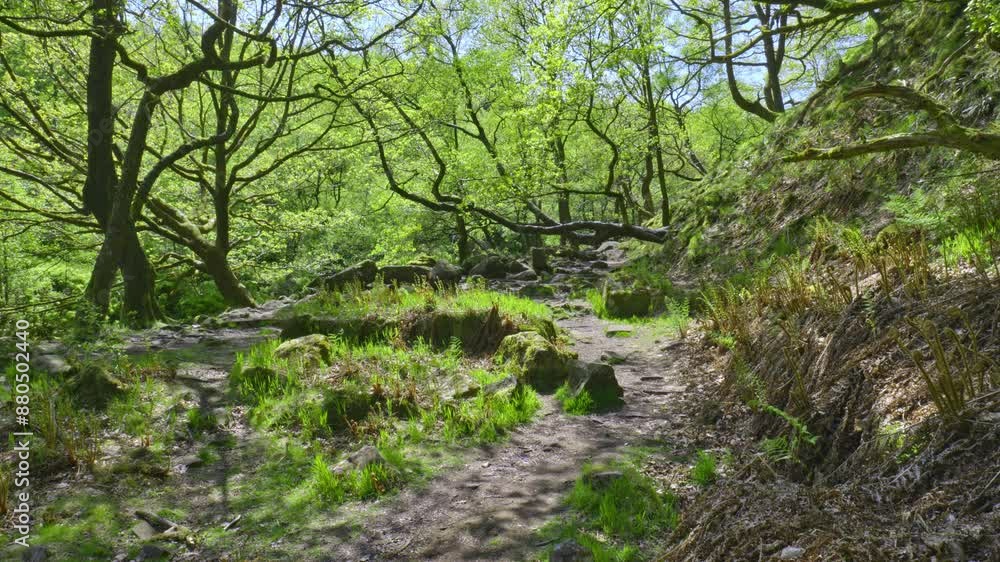 Wonderful Wyming Brook - stunning waterfall walk Wonderful Wyming Brook - stunning waterfall walk