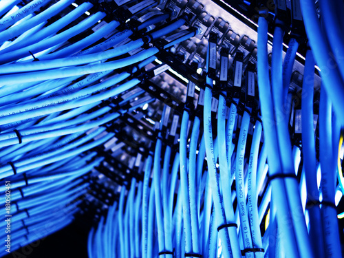 close up of network cables in a data center photo