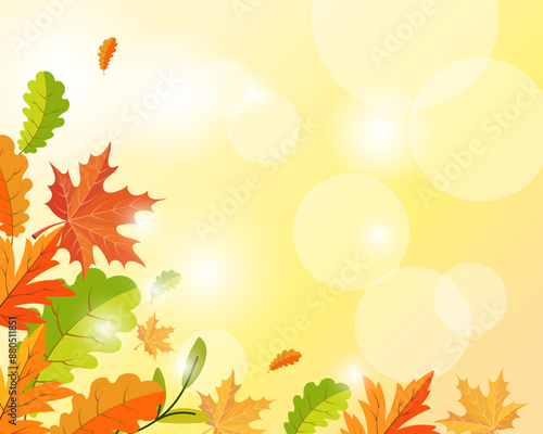 Frame with autumn maple leaves and rowan branches on a light background with sun reflections. Autumn illustration, vector