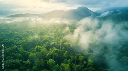 Coastal cloud and fog covered jungle landscape. Wide misty panorama, aerial view.