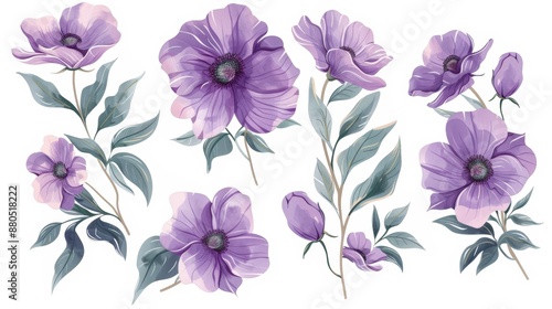 Lavender flowers isolated on white background. 3D rendering illustration. Clip art