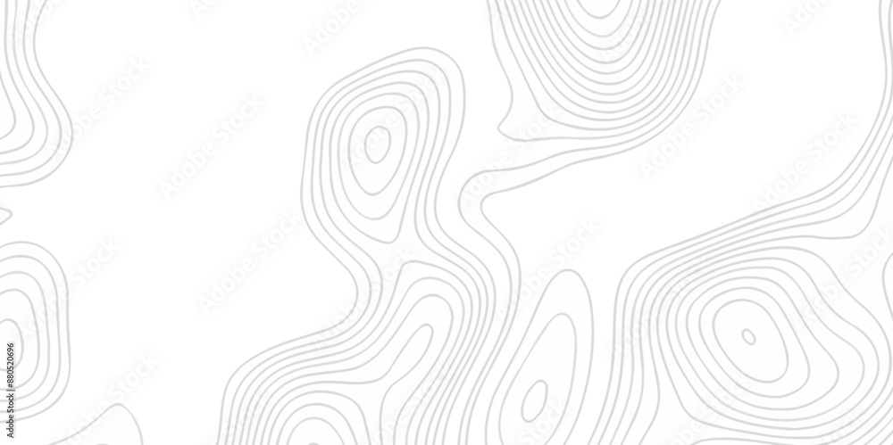 Map Pattern Reliefs White wave paper curved reliefs abstract background Topographic map ...