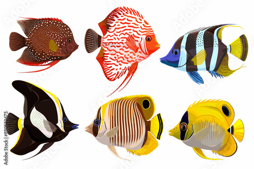 Colorful tropical sea fish ocean saltwater cartoon vector set