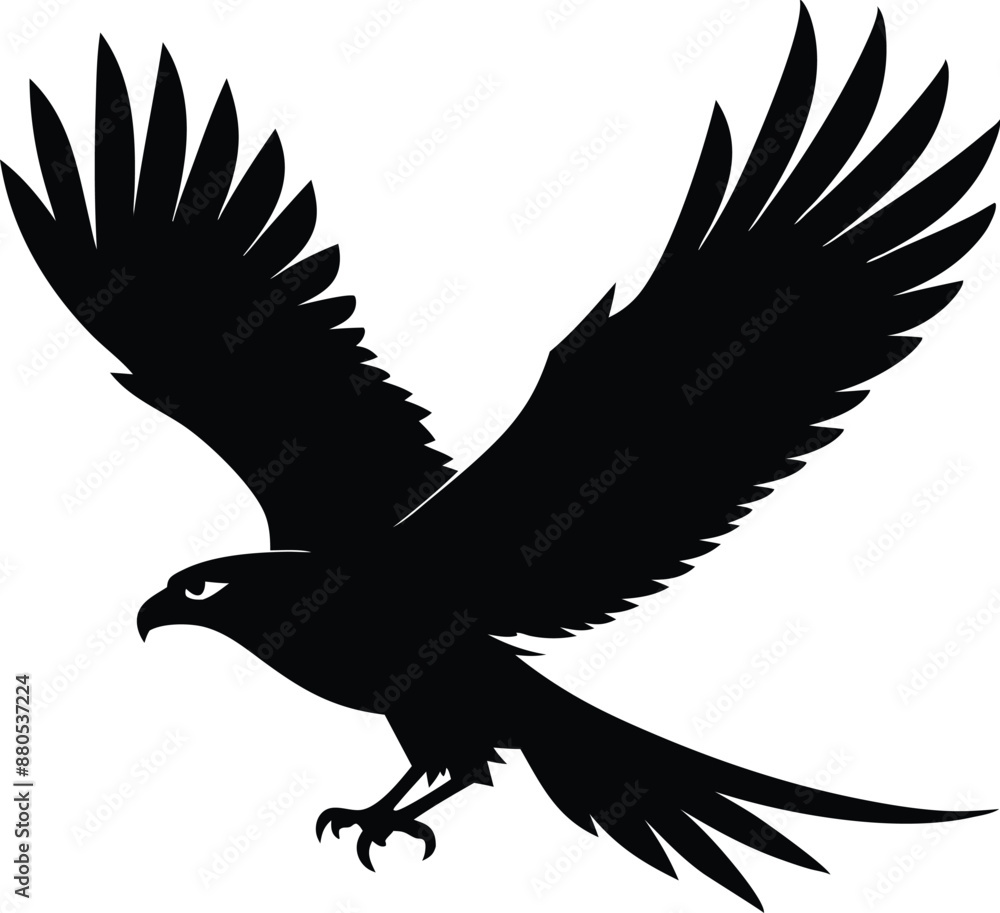 Fototapeta premium Hawk silhouette, Flying hawk bird, Hawk Bird Silhouette SVG, Eagle vector illustration