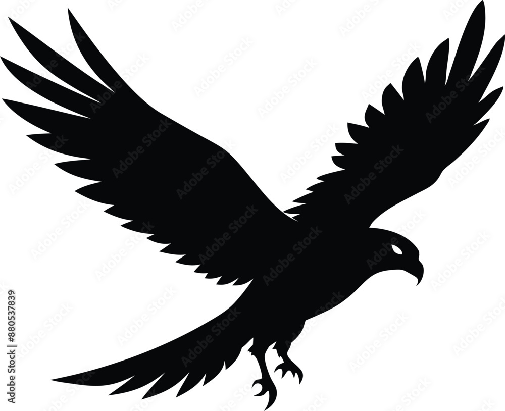 Obraz premium Hawk silhouette, Flying hawk bird, Hawk Bird Silhouette SVG, Eagle vector illustration 