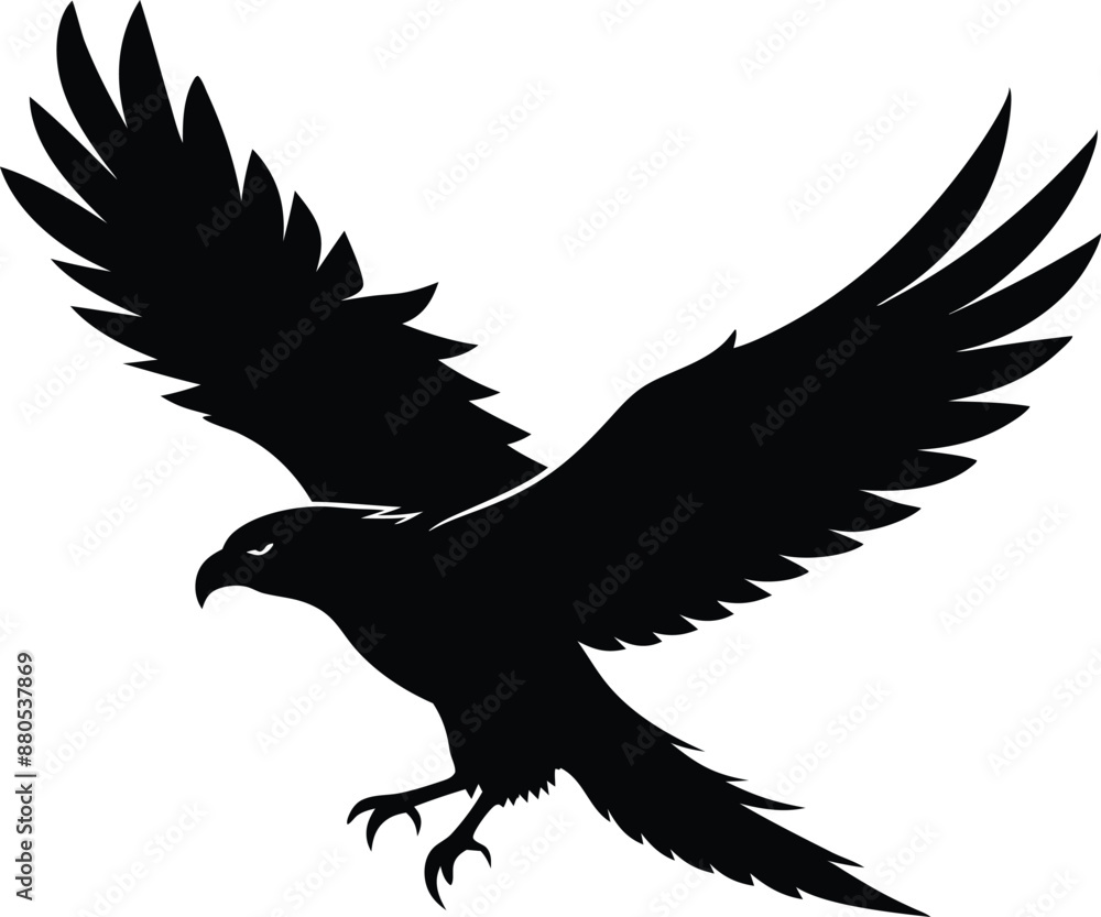 Obraz premium Hawk silhouette, Flying hawk bird, Hawk Bird Silhouette SVG, Eagle vector illustration 