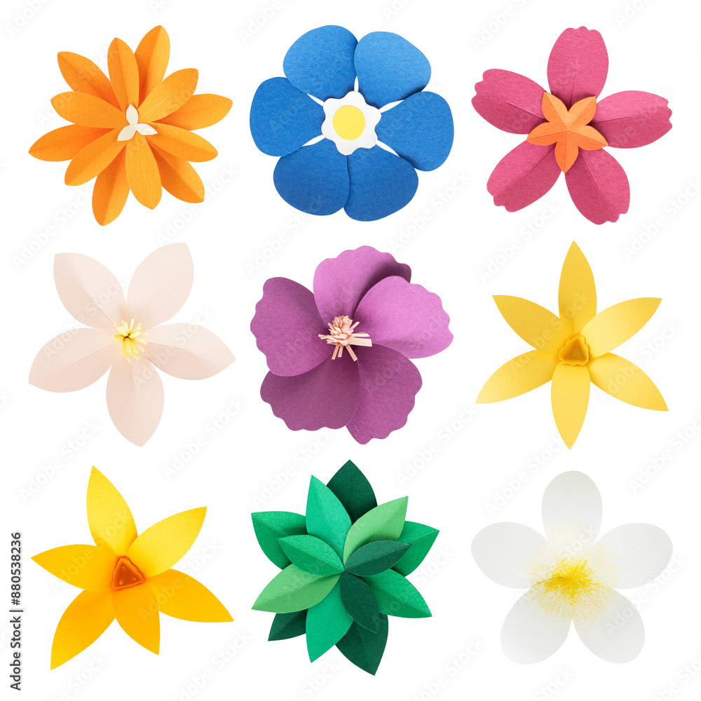 Tropical paper flower png set Tropical paper flower png set
