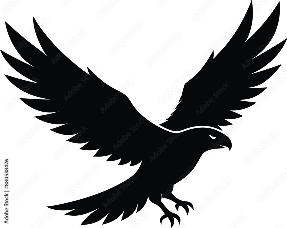 Obraz premium Hawk silhouette, Flying hawk bird, Hawk Bird Silhouette SVG, Eagle vector illustration 
