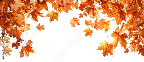 Autumnal leaves frame isolated on white 