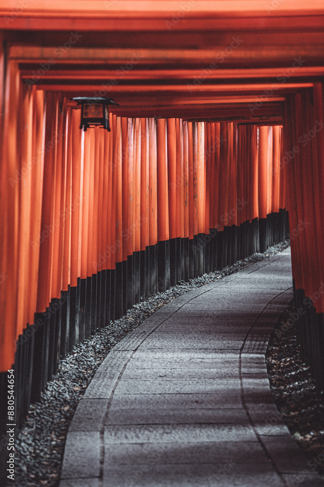 Fototapeta premium japanese shrine of thousands red gates japan