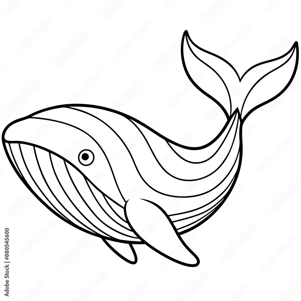 whale line art vector illustrations whale line art vector illustrations