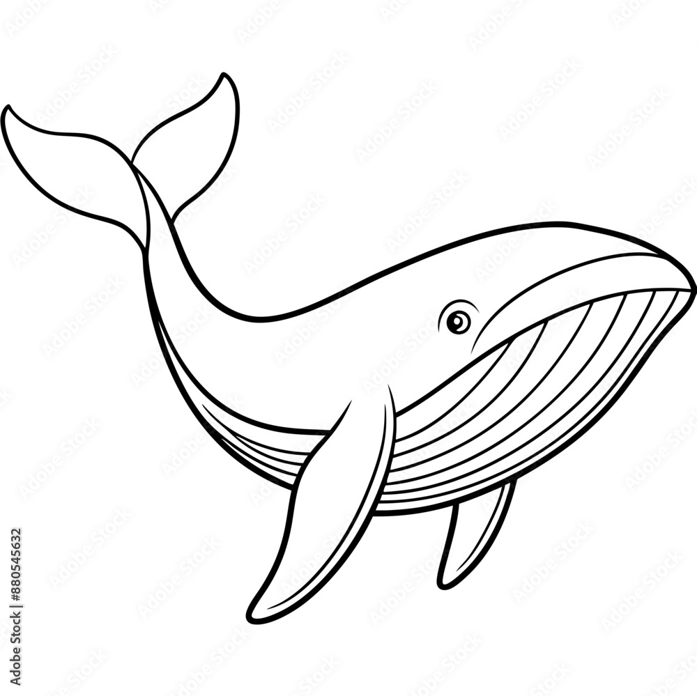whale line art vector illustrations whale line art vector illustrations