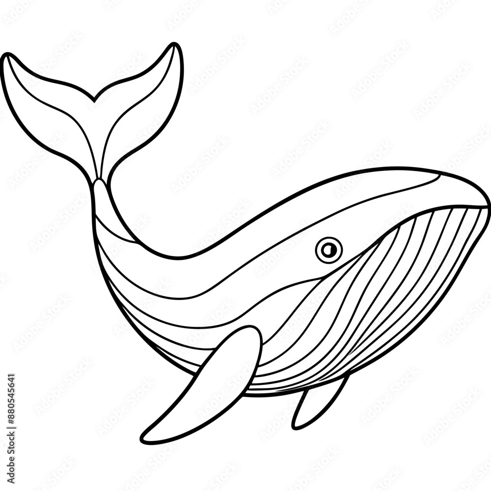 Fototapeta premium whale line art vector illustrations