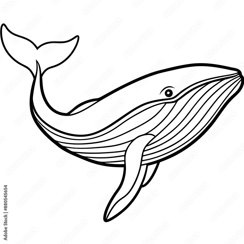 Fototapeta premium whale line art vector illustrations
