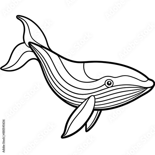 whale line art vector illustrations