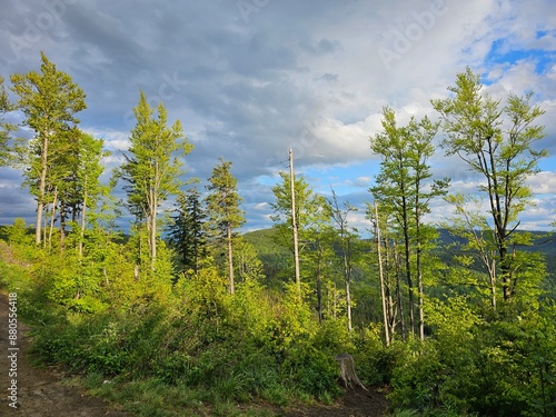 Piękne widoki gór, tatry o zachodzie słońca 