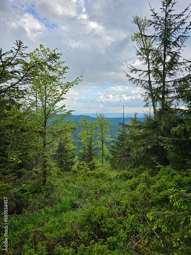 Piękne widoki gór, tatry o zachodzie słońca 