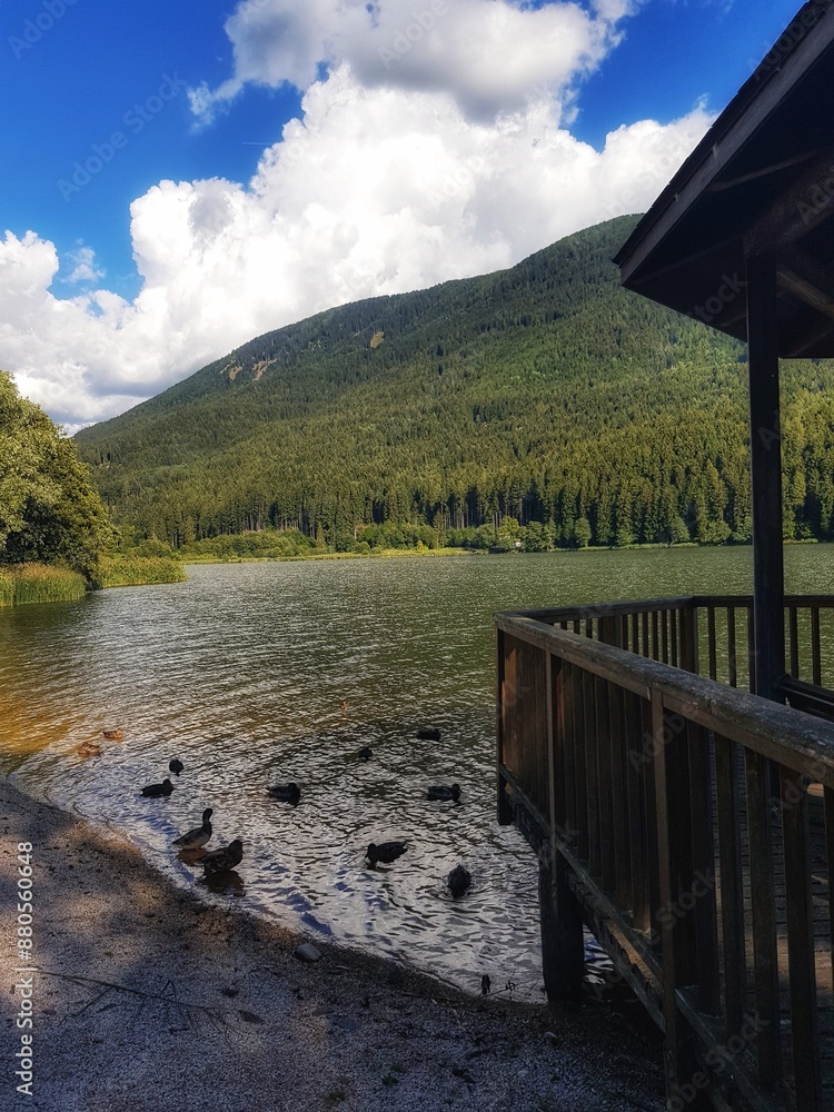 Fototapeta premium bridge over the lake