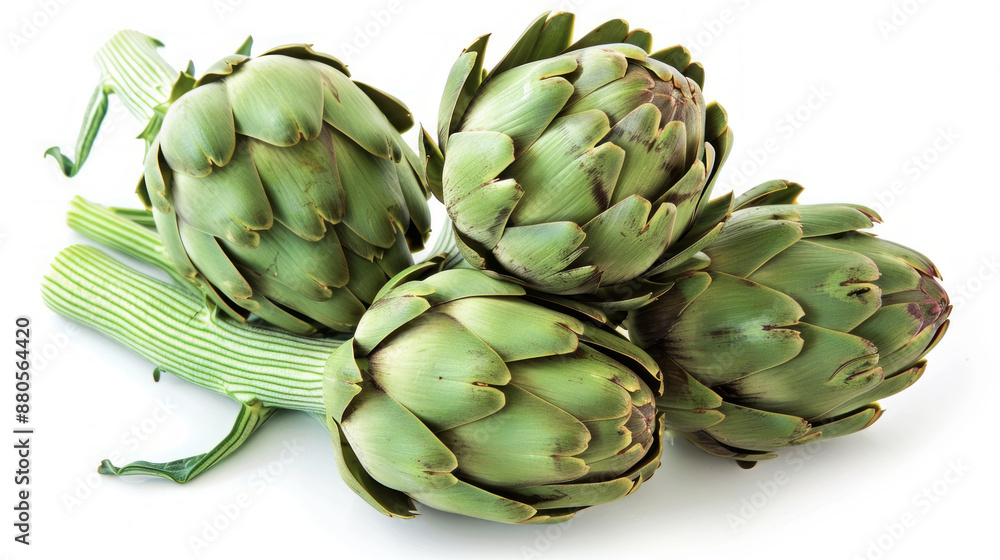Fototapeta premium Fresh green artichokes on white background