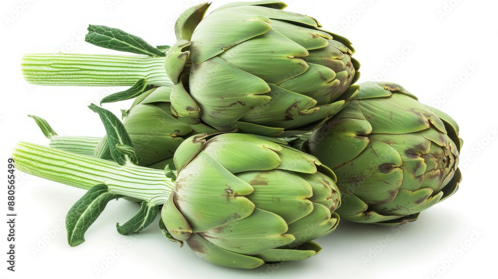 Fototapeta premium Fresh green artichokes on white background