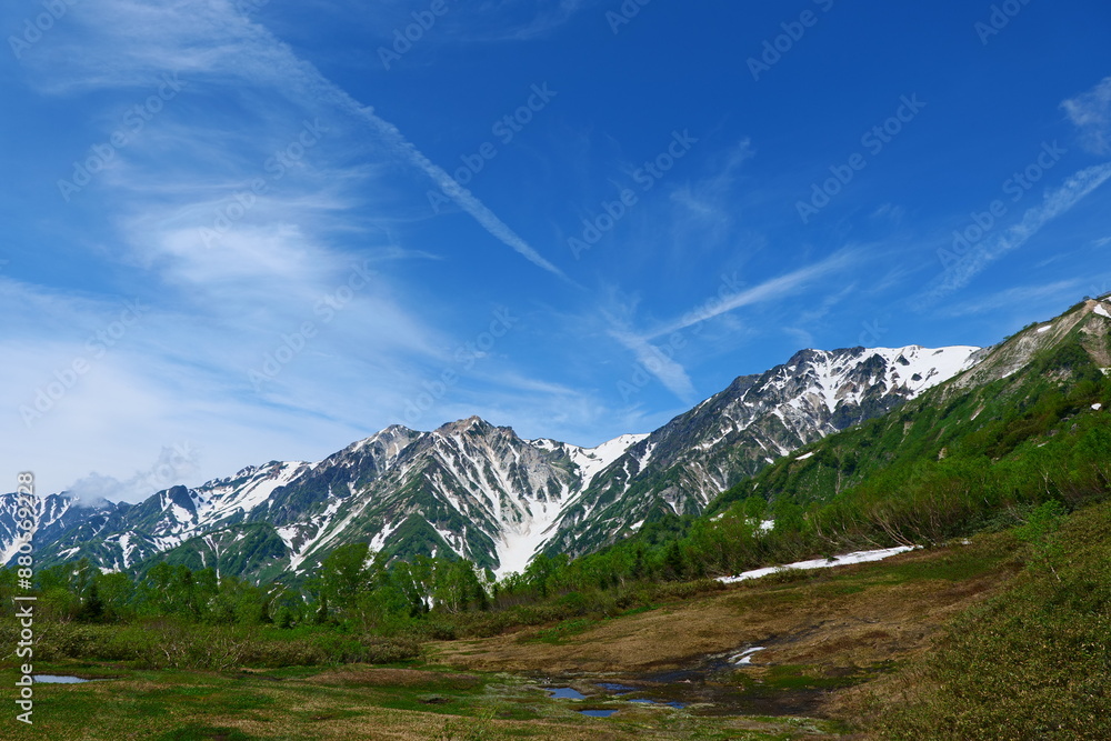 Fototapeta premium 初夏の栂池自然園。小谷、長野、日本。6月下旬。