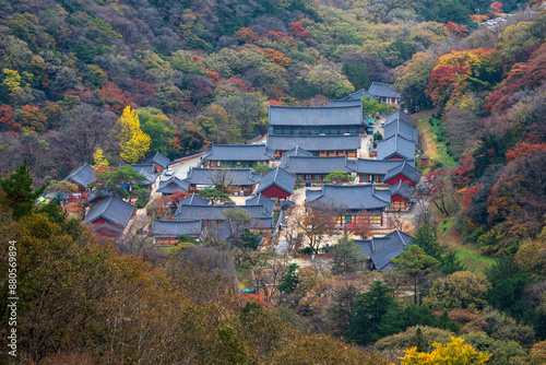 Jangseong-gun, Jeollanam-do, South Korea - November 7, 2023: Autumnal view of maple trees of Baegamsan Mountain with tile houses of Baekyangsa Temple
 photo