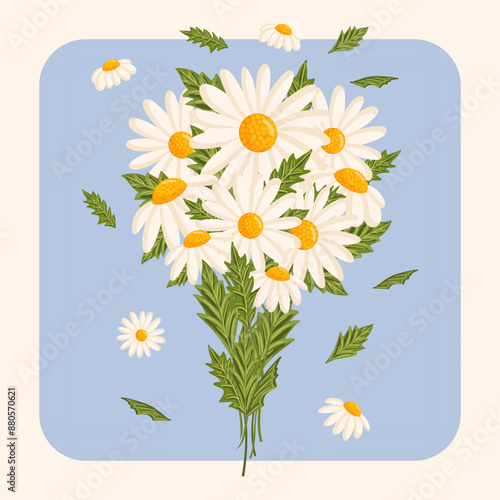 Spring bouquet of white chamomile or daisy flowers. Botanical vector illustration isolated for postcard, poster, ad, decor, fabric and other uses.