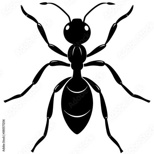 Ant silhouette vector illustration