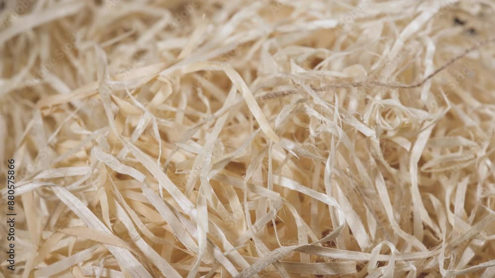 clean wood shaving close up background. clean wood shaving close up background.