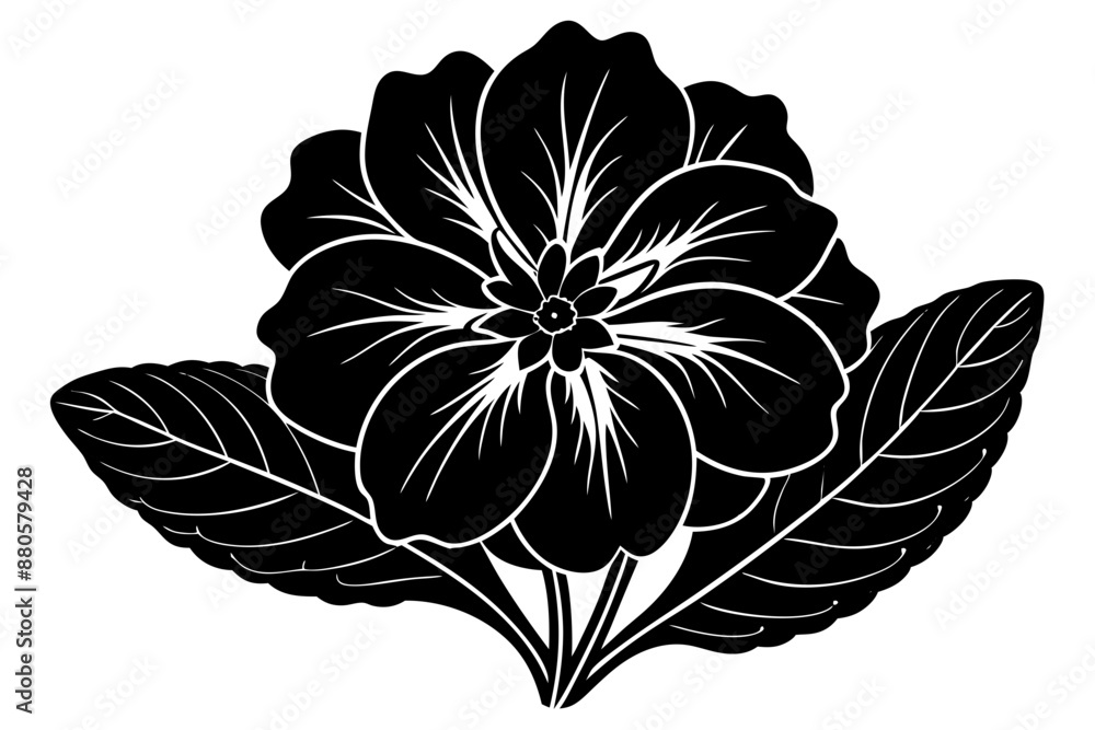 Fototapeta premium Primrose flower silhouette vector illustration 