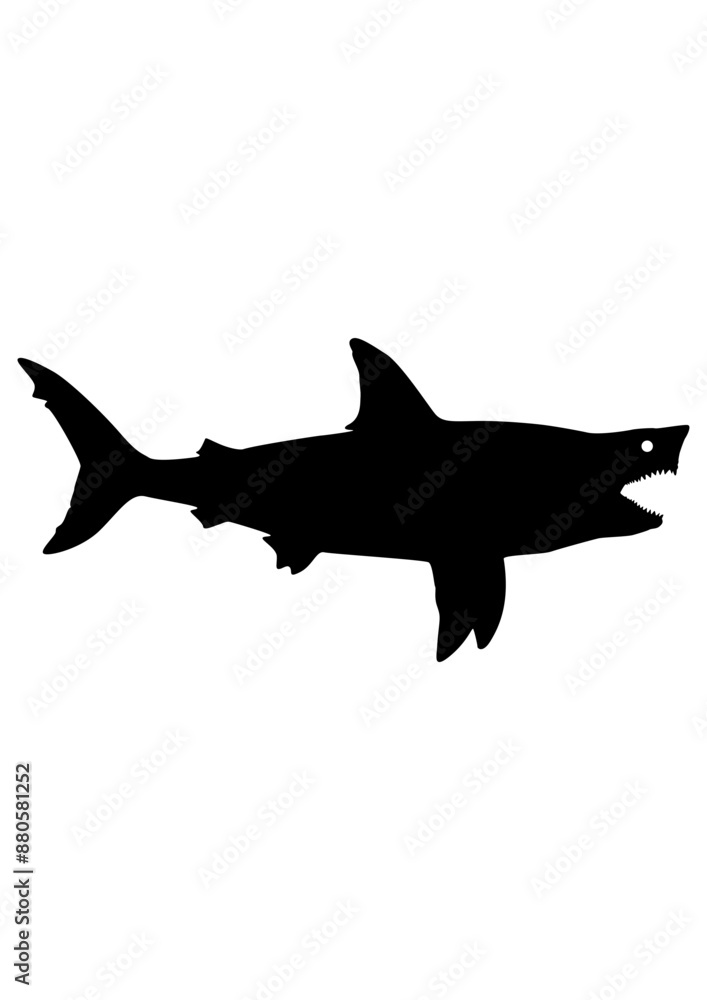 Obraz premium Shark | Aquatic Animal | Wild Animal | Sea Angling | Fishing Outdoor | Marine Creature | Salt Water Fish | Sea Monster | Original Illustration | Vector and Clipart | Cutfile and Stencil