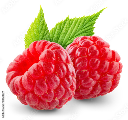 Raspberry isolated png. Raspberry with leaf on transparent background. PNG format. Two raspberries with no background. Full depth of field.